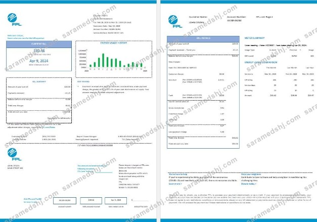USA FPL  electricity utility bil Word and PDF formats, 2 pages, version 2